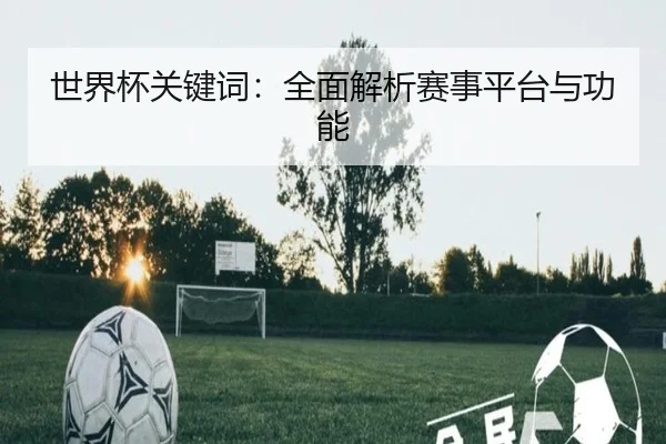 世界杯关键词：全面解析赛事平台与功能