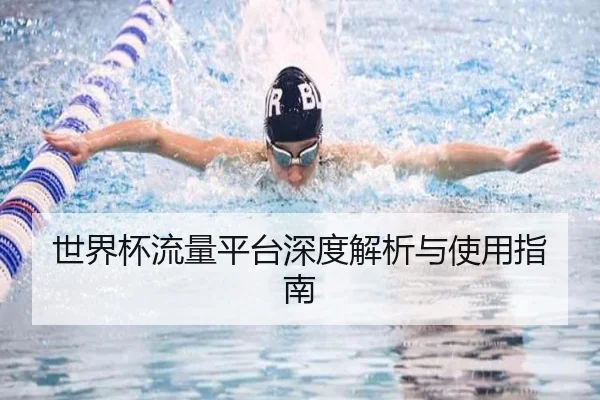 世界杯流量平台深度解析与使用指南