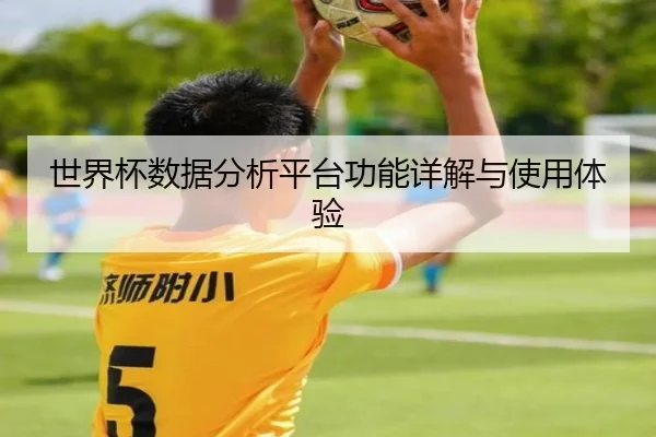 世界杯数据分析平台功能详解与使用体验