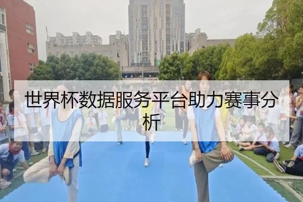 世界杯数据服务平台助力赛事分析
