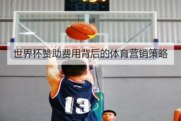 世界杯赞助费用背后的体育营销策略