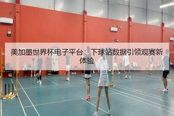 美加墨世界杯电子平台：下球站数据引领观赛新体验