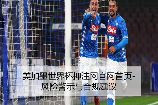 美加墨世界杯押注网官网首页-风险警示与合规建议