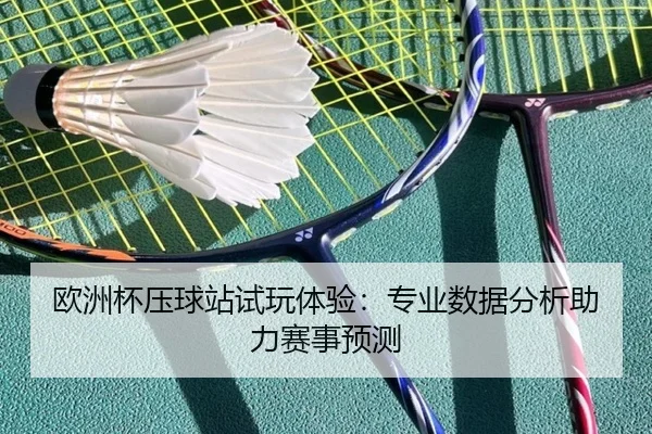 欧洲杯压球站试玩体验：专业数据分析助力赛事预测