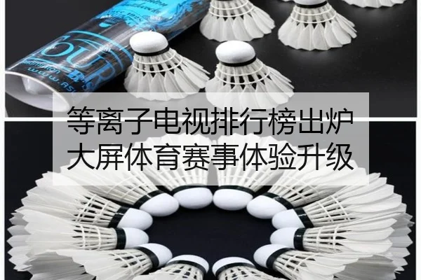 等离子电视排行榜出炉 大屏体育赛事体验升级