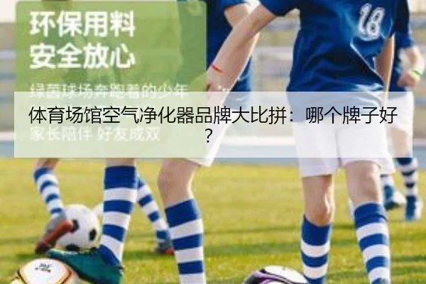 体育场馆空气净化器品牌大比拼：哪个牌子好？
