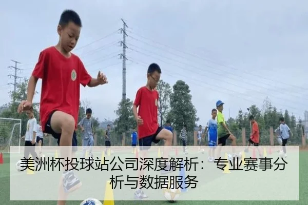 美洲杯投球站公司深度解析：专业赛事分析与数据服务