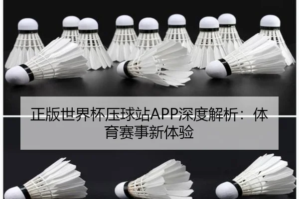 正版世界杯压球站APP深度解析：体育赛事新体验